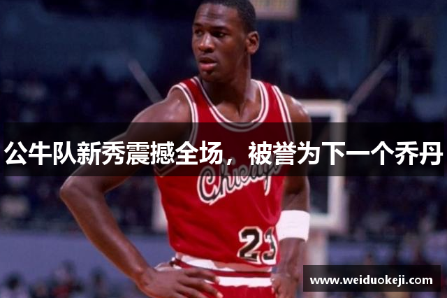 公牛队新秀震撼全场，被誉为下一个乔丹