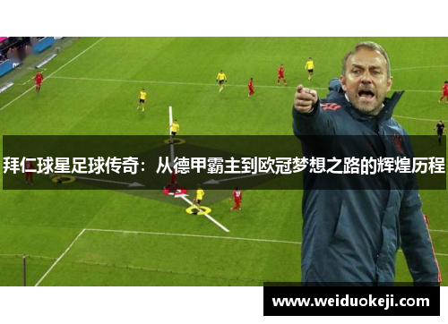 拜仁球星足球传奇：从德甲霸主到欧冠梦想之路的辉煌历程