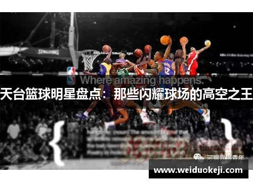 天台篮球明星盘点：那些闪耀球场的高空之王