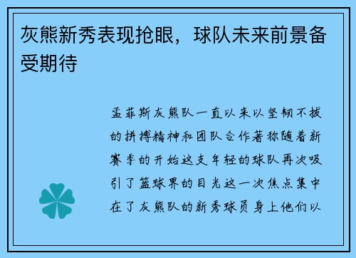灰熊新秀表现抢眼，球队未来前景备受期待